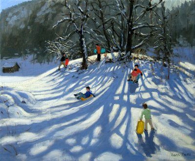 Spaß im Schnee, Morzine, Frankreich von Andrew Macara